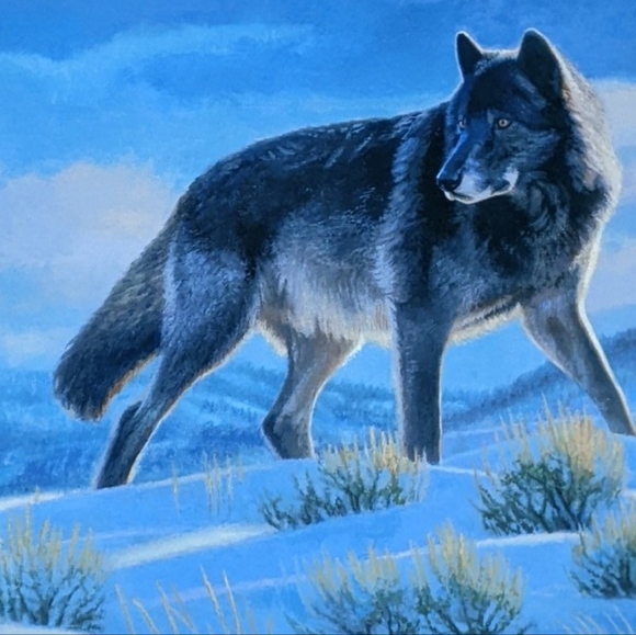 Wild & Wary Giclee in Color on Paper Hand Signed by Artist Pat McManus with COA - Picture 4 of 5